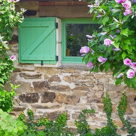 La Rhue Gites - Jacuzzi Holiday home Jumilhac-le-Grand